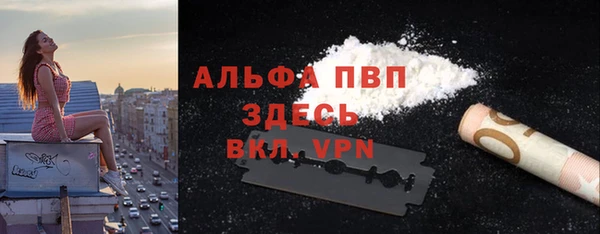 ECSTASY Михайлов
