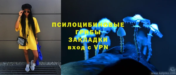 ECSTASY Михайлов