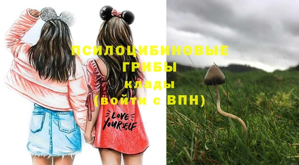 мет Михайловск