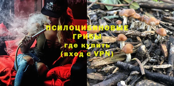 первитин Медвежьегорск