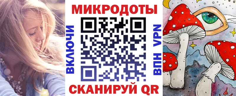 МЕГА зеркало  Галич  Псилоцибиновые грибы Psilocybine cubensis  купить закладку 